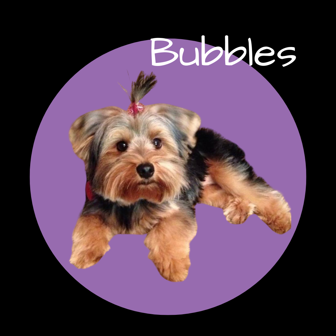 Zia Digital Media Designs